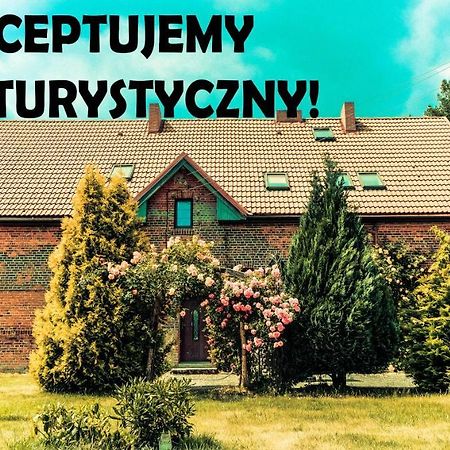 Chata Na Koncu Swiata Czaplin Maly 外观 照片