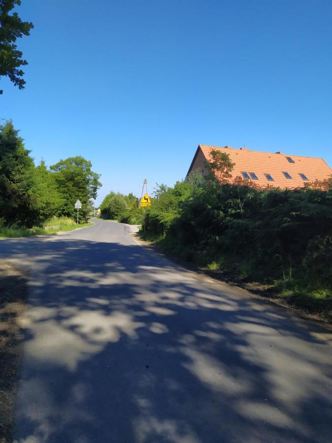 Chata Na Koncu Swiata Czaplin Maly 外观 照片